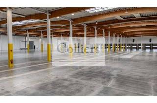 Gewerbeimmobilie mieten in 16356 Ahrensfelde, Gewerbegebiet Ahrensfelde - sofort einziehen - Halle 2 - LEAD MANDAT