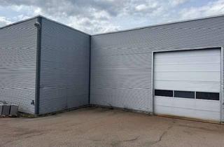 Gewerbeimmobilie mieten in Mercedesstraße, 73269 Hochdorf, Moderne Industriehallen in Hochdorf zu vermieten