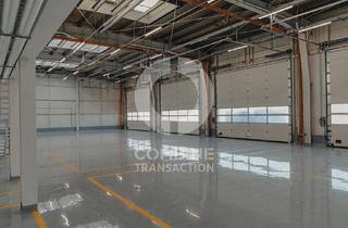 Büro zu mieten in 85748 Garching, Ab SOFORT - Repräsentative, befahrbare Halle ca. 1.500 m² + ca. 440 m² Bürofläche