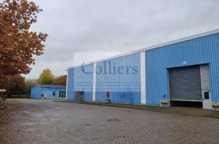 Gewerbeimmobilie mieten in 37574 Einbeck, PRODUKTIONS- UND LAGERFLÄCHEN IN EINBECK