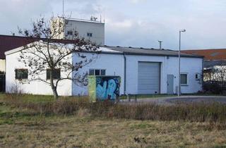 Gewerbeimmobilie mieten in 67583 Guntersblum, ZU VERMIETEN NUR AN METALLBAU-UNTERNEHMEN: Halle auf 700 m² Grundstück - Guntersblum