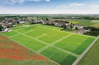 Grundstück zu kaufen in Auf Dem Dom, 52388 Nörvenich, ***NEUES BAUGEBIET*** 70 Baugrundstücke in neuem Wohnquartier in Nörvenich-Eschweiler über Feld