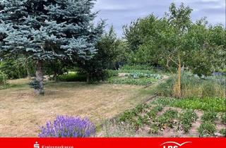 Grundstück zu kaufen in 39167 Eichenbarleben, Bauplatz gesucht ???