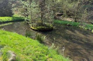 Grundstück zu kaufen in 67471 Elmstein, Preisreduzierung- Idyllisches Gartengrundstück mit Wasserzugang und Wasserrecht in Elmstein / Nähe H
