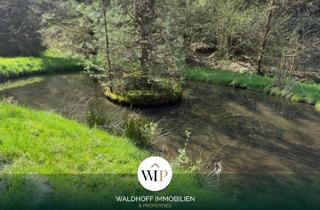 Grundstück zu kaufen in 67471 Elmstein, Preisreduzierung- Idyllisches Gartengrundstück mit Wasserzugang und Wasserrecht in Elmstein / Nähe H