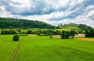 Grundstück zu kaufen in 79350 Sexau, BIETERVERFAHREN: Idyllisch gelegenes Baugrundstück mit Wiesengrundstücken