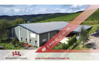 Gewerbeimmobilie kaufen in 54329 Konz, Gewerbetreibende! - Konz: Gebäudekomplex bestehend aus neuer 800 m² großer Halle, Zweifamilienhaus +