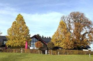 Büro zu mieten in 82418 Murnau, Murnau - moderne Praxis-/Büroräume in guter Lage