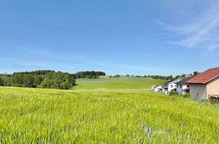 Gewerbeimmobilie kaufen in 84539 Zangberg, Landwirtschaftliches Grundstück im Gemeindebereich Zangberg