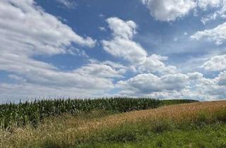 Gewerbeimmobilie kaufen in 84574 Taufkirchen, Schöne landwirtschaftliche Ackerfläche - Flurstücke 499, 500, 501/1 und 504
