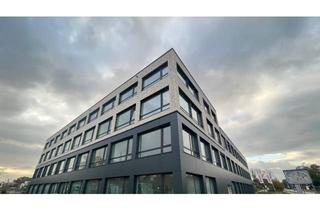 Wohnung mieten in Hans-Böckler-Str. 23, 46535 Dinslaken, Stilvolle 2,5-Zimmer-Wohnung mit gehobener Innenausstattung und Loggia in Dinslaken