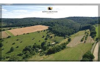Anlageobjekt in 36199 Rotenburg, Diverse Grundstücke - Landwirtschaftsfläche (Äcker), Wiesengrundstücke, Waldgrundstücke, paar BauGrd