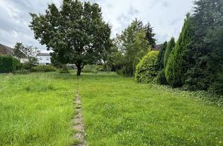 Grundstück zu kaufen in Frankenstraße 36, 52385 Nideggen, Bauland im Ortskern von Nideggen-Berg