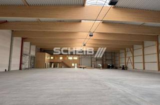 Büro zu mieten in 74564 Crailsheim, Erstbezug: Große Halle mit zweigeschossigem Büro im Gewerbebiet