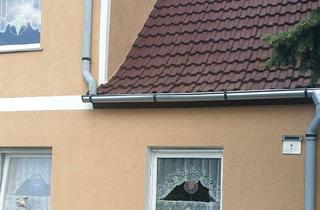 Doppelhaushälfte kaufen in 06886 Lutherstadt Wittenberg, Wittenberg Lutherstadt - Landschaftliche Doppelhaushälfte in Lutherstadt Wittenberg
