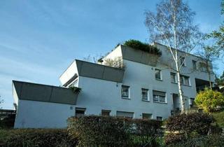 Wohnung kaufen in 55566 Bad Sobernheim, Bad Sobernheim - Eine wunderschöne 4 ZW nahe Kreuznach provisionsfrei zu kaufen!