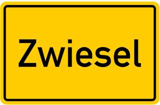 Einfamilienhaus kaufen in 94227 Zwiesel, Zwiesel - kleines Einfamilienhaus mit großem Grundstück und NebengbäudenGa