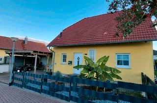 Einfamilienhaus kaufen in 38229 Salzgitter, Salzgitter - Liebevoll saniertes Einfamilienhaus in Top Lage