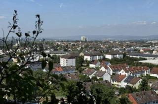 Penthouse kaufen in 65239 Hochheim, *** Wollen Sie hoch hinaus ? Penthouse mit sensationellen Weitblick ***