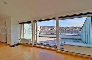 Wohnung mieten in 64297 Eberstadt, Charmante 1-Zimmer-Dachgeschosswohnung in Darmstadt Eberstadt