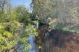 Gewerbeimmobilie kaufen in 99867 Gotha, TOP-Campingplatz in Thüringen zu verkaufen - lukrative Vollexistenz in Thüringen nahe Rennsteig