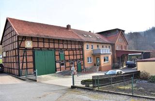 Haus kaufen in 31084 Freden, Großzügige Hofstelle mit reichlich Weideland (3ha) und 2 Wohneinheiten