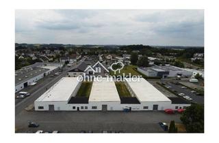 Büro zu mieten in 53819 Neunkirchen, Halle 760m² und Büro / Sozialräume 100m² (O-H-S 34)