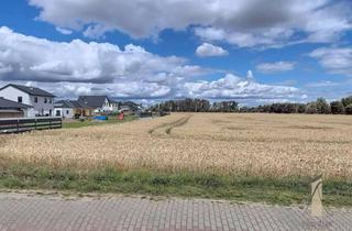 Grundstück zu kaufen in 39326 Hohenwarsleben, Wohnen im Grünen – Baugrundstück in Hermsdorf bei Magdeburg!
