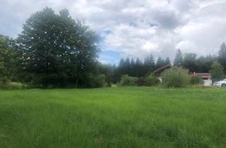 Grundstück zu kaufen in 82377 Penzberg, Penzberg - Idyllisches Grundstück am Bachlauf vor den Toren Münchens im schönen Penzberg