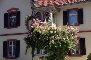 Doppelhaushälfte kaufen in 79379 Müllheim, Müllheim - Wunderschöne Doppelhaushälfte in Müllheim