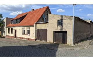 Einfamilienhaus kaufen in 06429 Nienburg, Nienburg (Saale) - Einfamilienhaus mit viel Potential + Nebengelass und Werkhalle