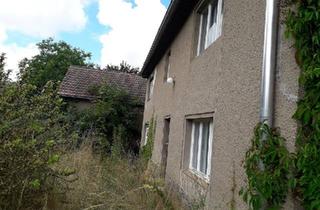 Haus kaufen in 04749 Ostrau, Ostrau - Wohnhaus mit Stallgebäude und Garten, provisionsfrei