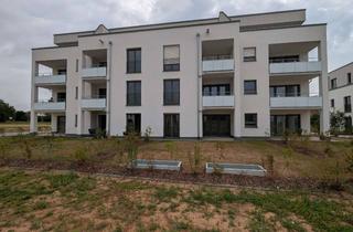 Wohnung mieten in Am Rotweg, 74379 Ingersheim, Stilvolle 2,5-Raum-EG-Wohnung mit gehobener Innenausstattung mit Einbauküche in Ingersheim