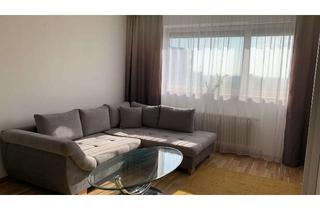 Wohnung mieten in 65835 Liederbach, Vollmöblierte 1-Zimmer-Wohnung mit Einbauküche und Garage Stellplatz in Liederbach am Taunus