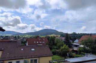 Wohnung mieten in 73550 Waldstetten, Neu renovierte, helle Dachgeschosswohnung mit Einbauküche
