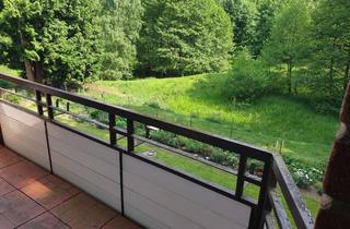 Wohnung mieten in 31707 Bad Eilsen, Komplett renovierte 2-ZKB Wohnung mit Balkon in Bad Eilsen
