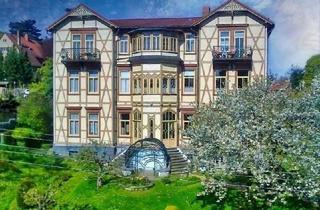 Wohnung mieten in Schleinitzstraße 14, 38889 Blankenburg (Harz), Noble Villenetage mit Panoramakamin vis á vis vom Welfenschloss !