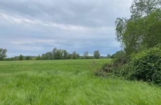 Haus kaufen in Bäckerstraße, 14778 Beetzseeheide, Ein Stück Schwedenidylle mit eigenem Teich in Ketzür am Beetzsee