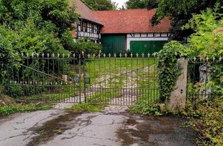 Haus kaufen in 31185 Söhlde, Schöner Resthof in ruhiger Lage
