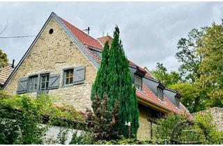 Haus mieten in 55278 Undenheim, Wohnen in sanierter Scheune # Loftfeeling # ideal für 2 Personen