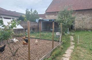 Haus mieten in Mainzerstrasse 54, 55437 Ockenheim, Geräumiges, günstiges 7-Raum-Einfamilienhaus mit gehobener Innenausstattung in Ockenheim