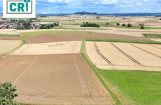 Grundstück zu kaufen in 35043 Marburg, Baugrundstück mit Fernblick: Ihr Platz für Leben und Träume