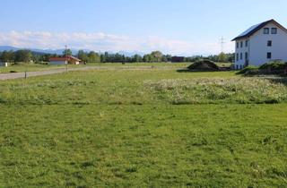 Grundstück zu kaufen in Langenriederstr. 13, 86971 Peiting, Baugrundstück für Doppelhaus mit genehmigtem Bebauungsplan