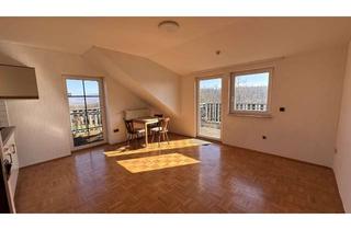 Wohnung mieten in 34289 Zierenberg, Gemütliche 1-Zimmer-Wohnung mit 2 Sonnenbalkonen & Blick ins Grüne!