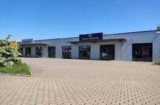 Büro zu mieten in Michaelisstraße, 33803 Steinhagen, Frequentierte Verkaufsfläche/ Outlet mit Lager und Büro in Brockhagen