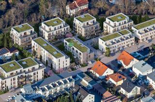 Mehrfamilienhaus kaufen in 67346 Speyer, Bauteil 6 – Endhaus RH 05 – „Modernes KfW-Effizienzhaus in Endhauslage“