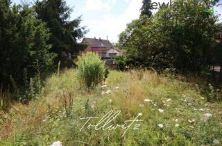 Grundstück zu kaufen in 06231 Bad Dürrenberg, Traumhaft großes Grundstück in Tollwitz bei Markranstädt zum Traumhausbau!