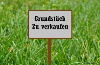 Grundstück zu kaufen in 90425 Nürnberg, Nürnberg - großes Baugrundstück ca. 1180 m²