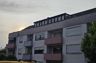 Wohnung kaufen in 74831 Gundelsheim, Gundelsheim - Helle, geräumige 2 Zimmer Wohnung
