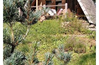 Haus kaufen in 29525 Uelzen, Uelzen - Naturidylle im Wald (Richtung Wendland)